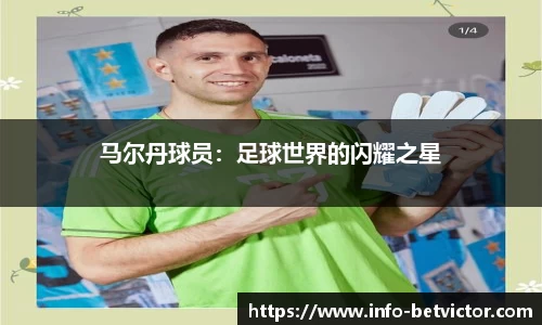 betvictor伟德
